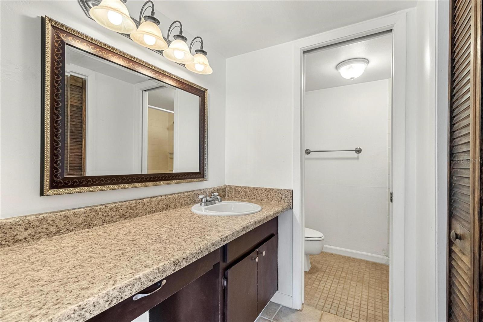 Primary en-suite bathroom with separate vanity area