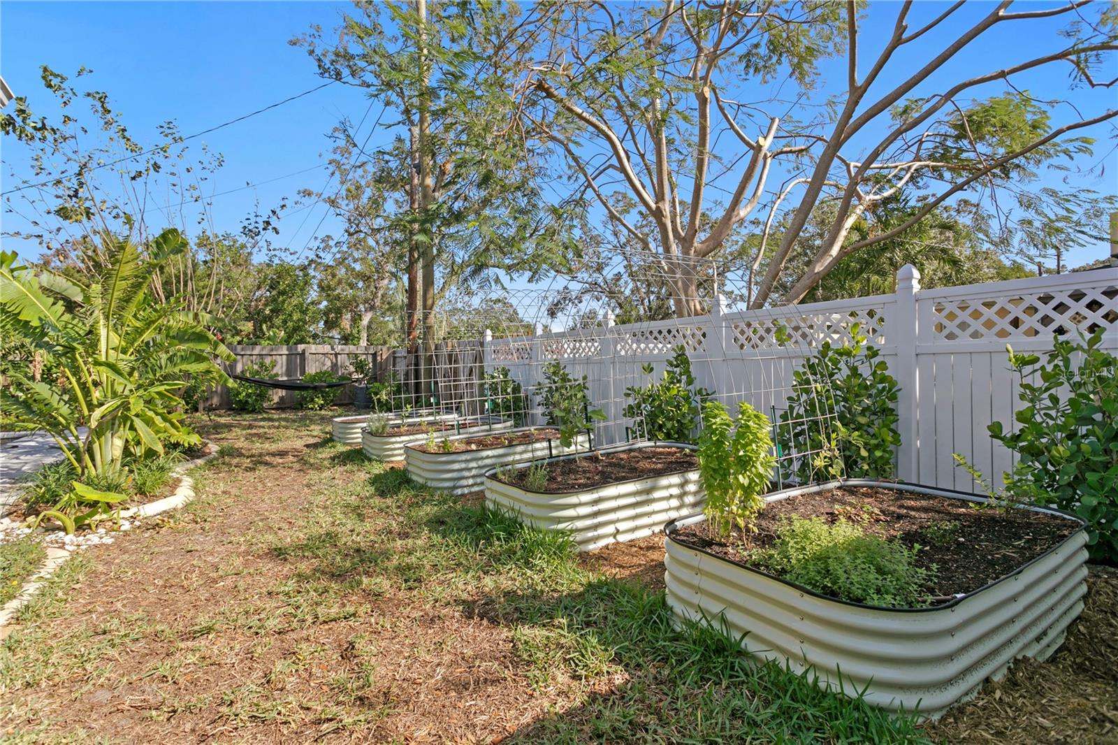 raised garden beds