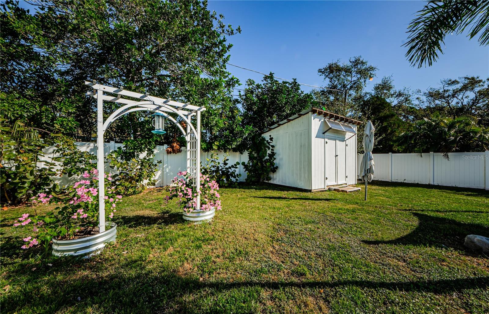 Backyard Shed