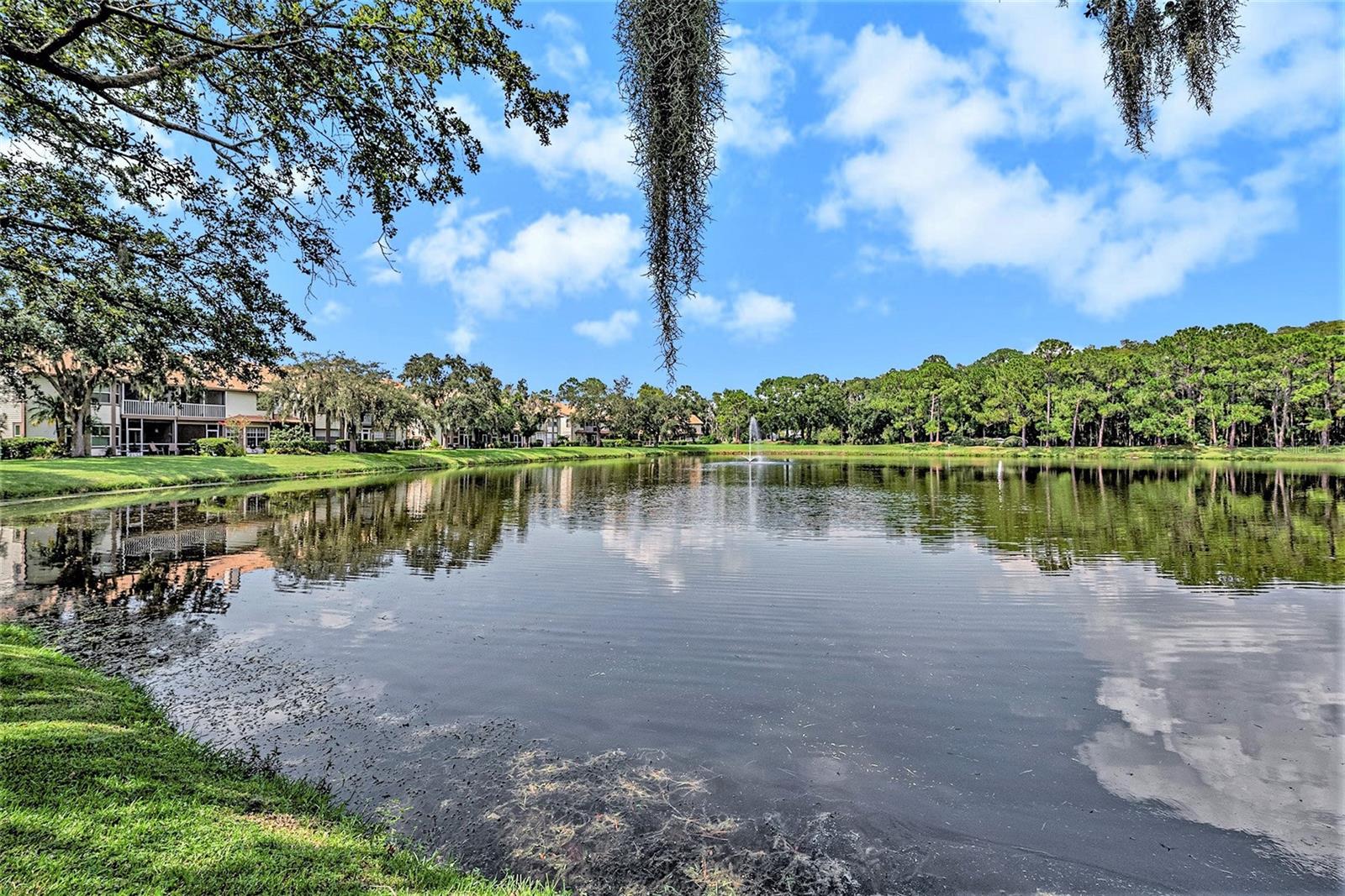 Pond and Fountain View