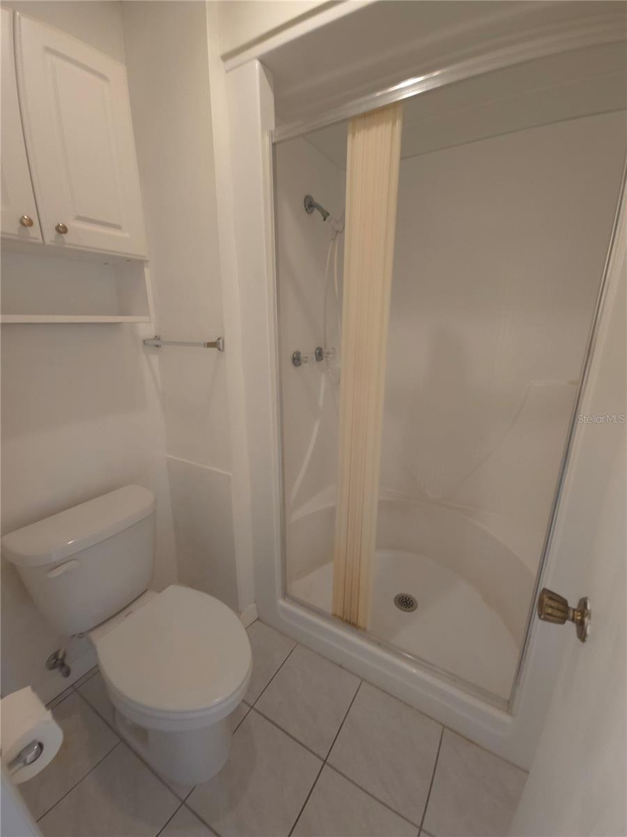 Ensuite master walk-in shower