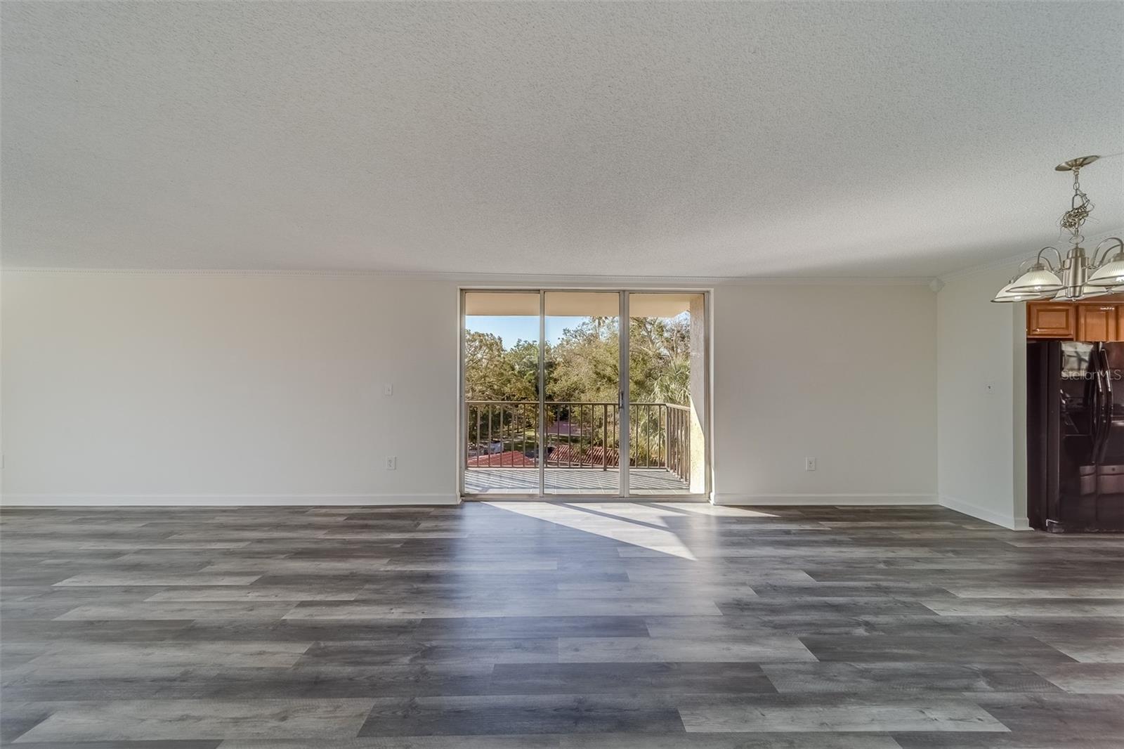 Living Room with Updated LPV and 2 Balconies