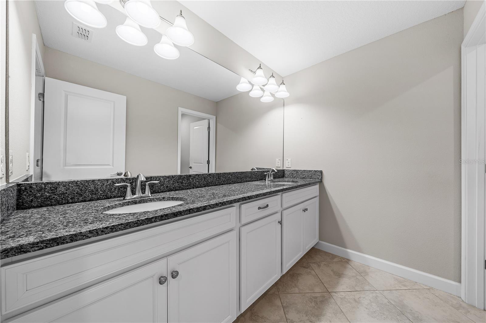 Bathroom Vanity Area