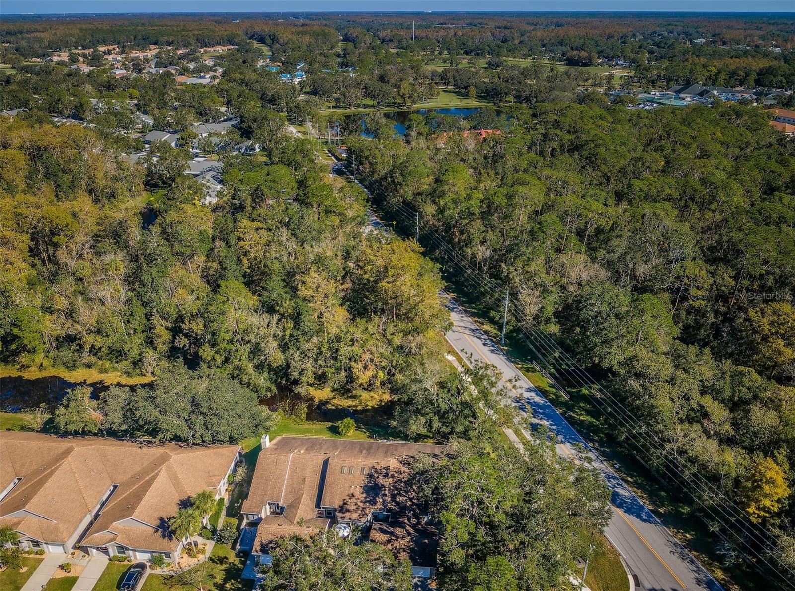 Palm Harbor 2 Bed 2 Bath Condo