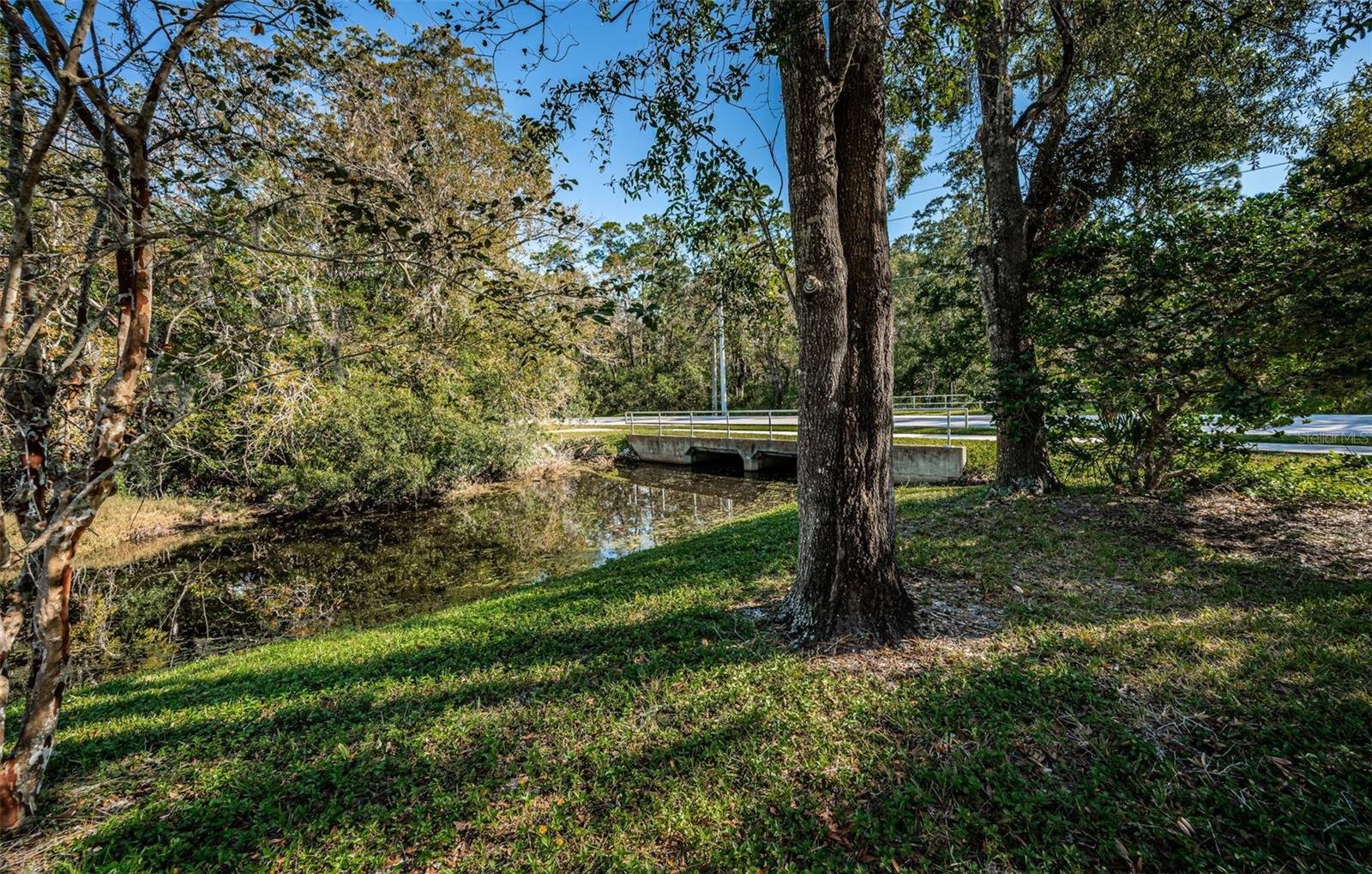 Palm Harbor 2 Bed 2 Bath Condo