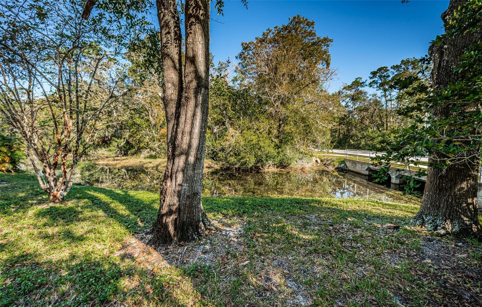 Palm Harbor 2 Bed 2 Bath Condo