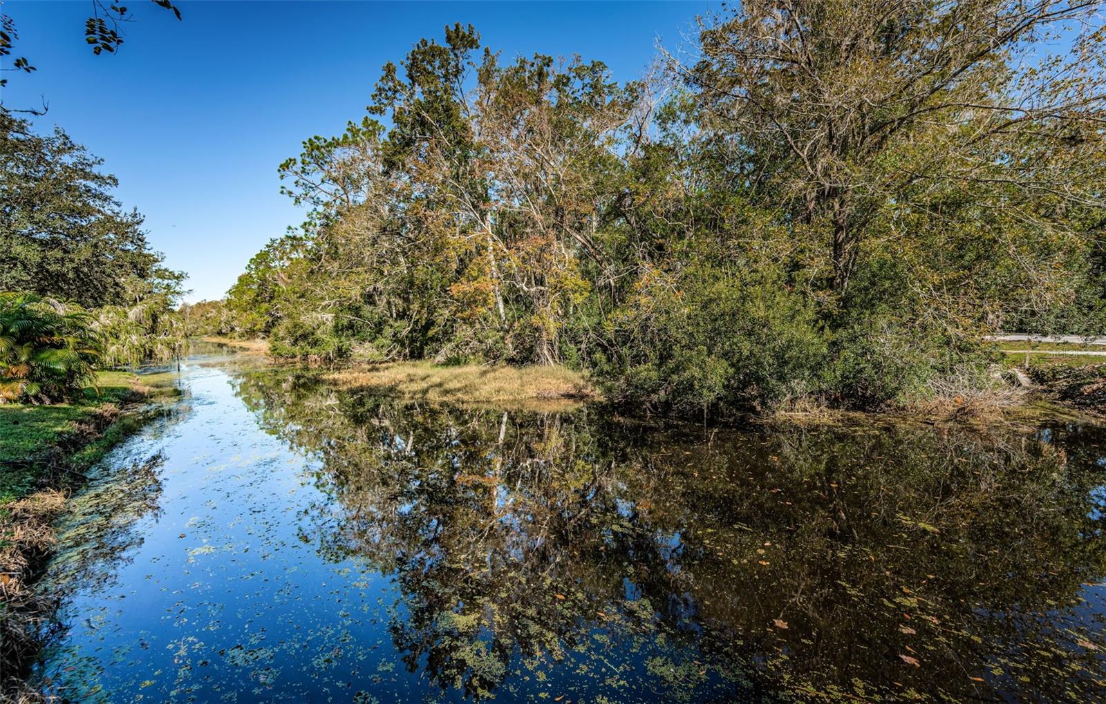 Palm Harbor 2 Bed 2 Bath Condo