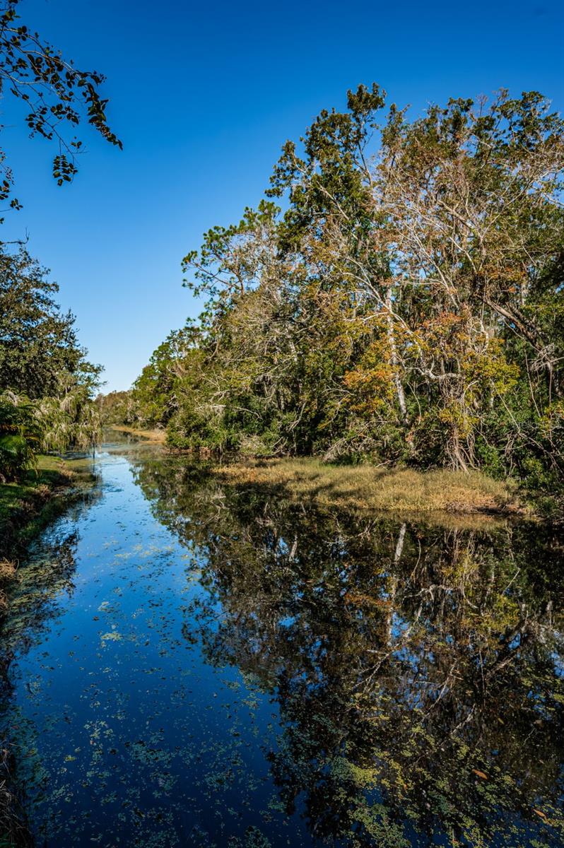 Palm Harbor 2 Bed 2 Bath Condo