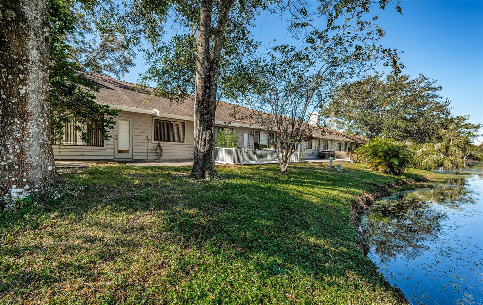 Palm Harbor 2 Bed 2 Bath Condo