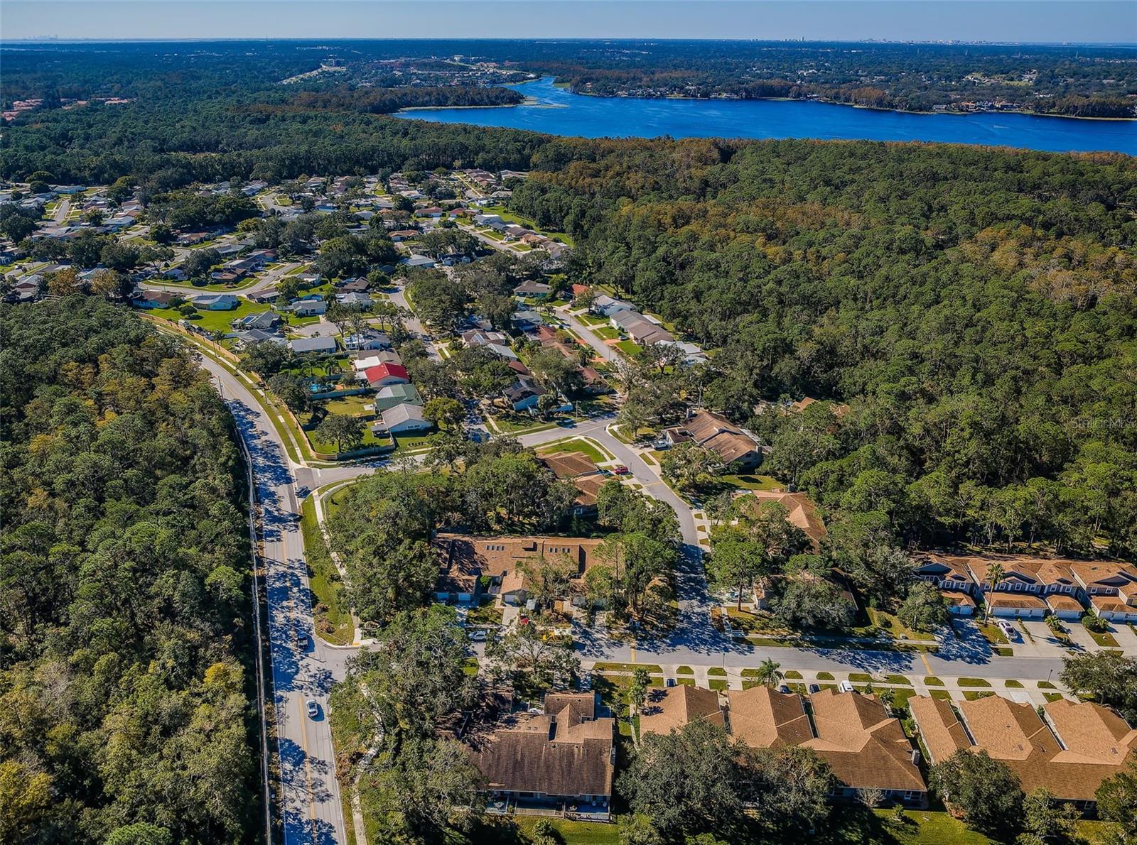 Palm Harbor 2 Bed 2 Bath Condo