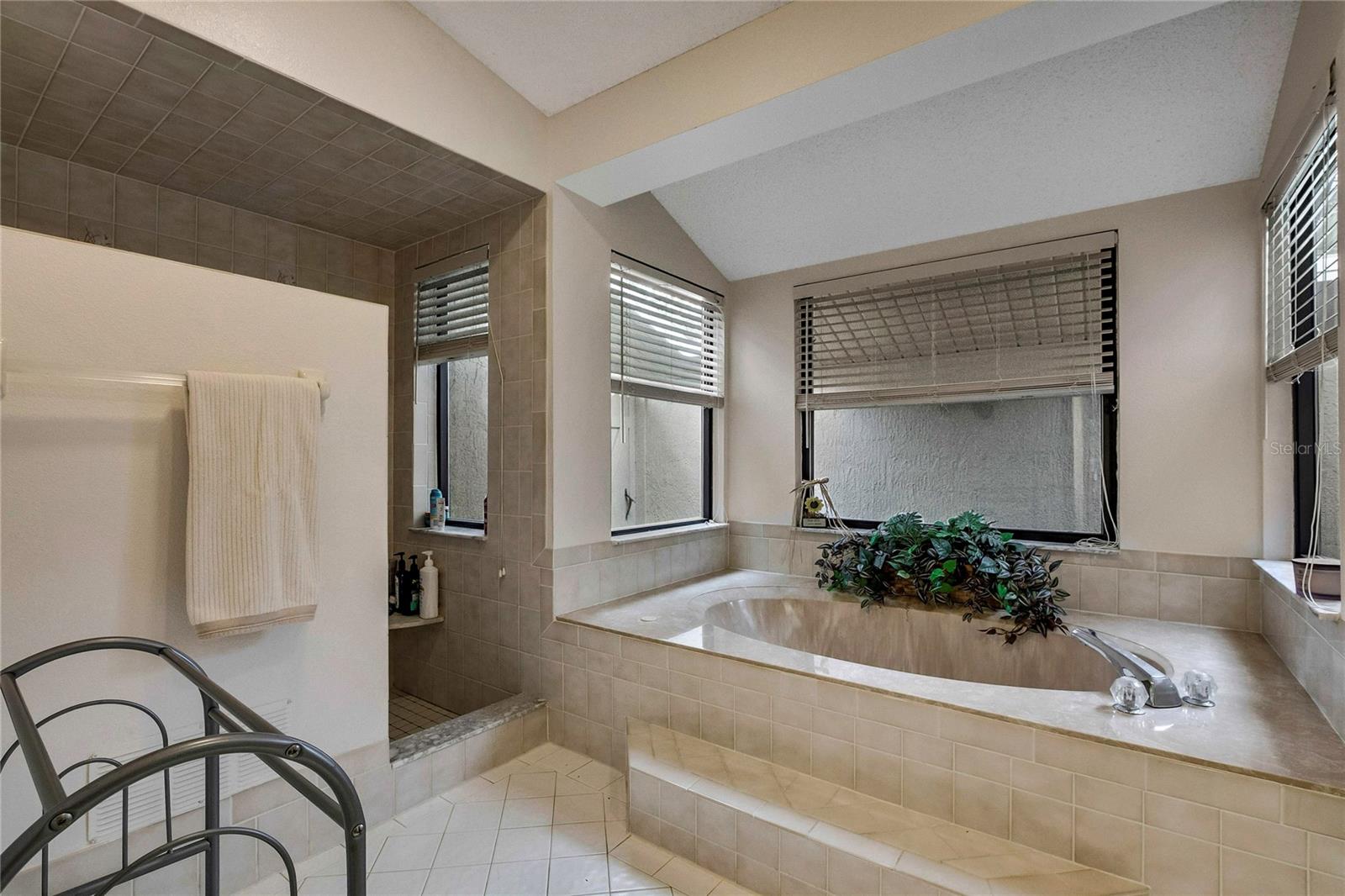 Walk in shower and separate jetted garden tub