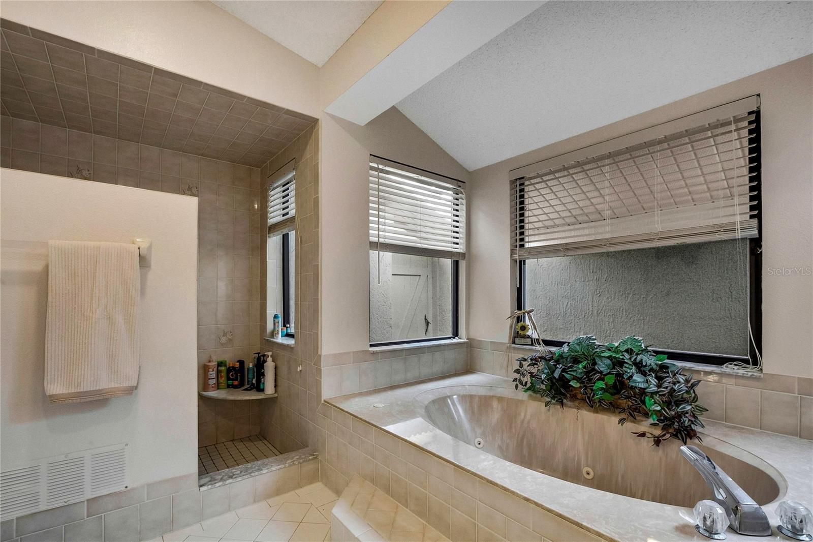 Walk in shower and separate jetted garden tub