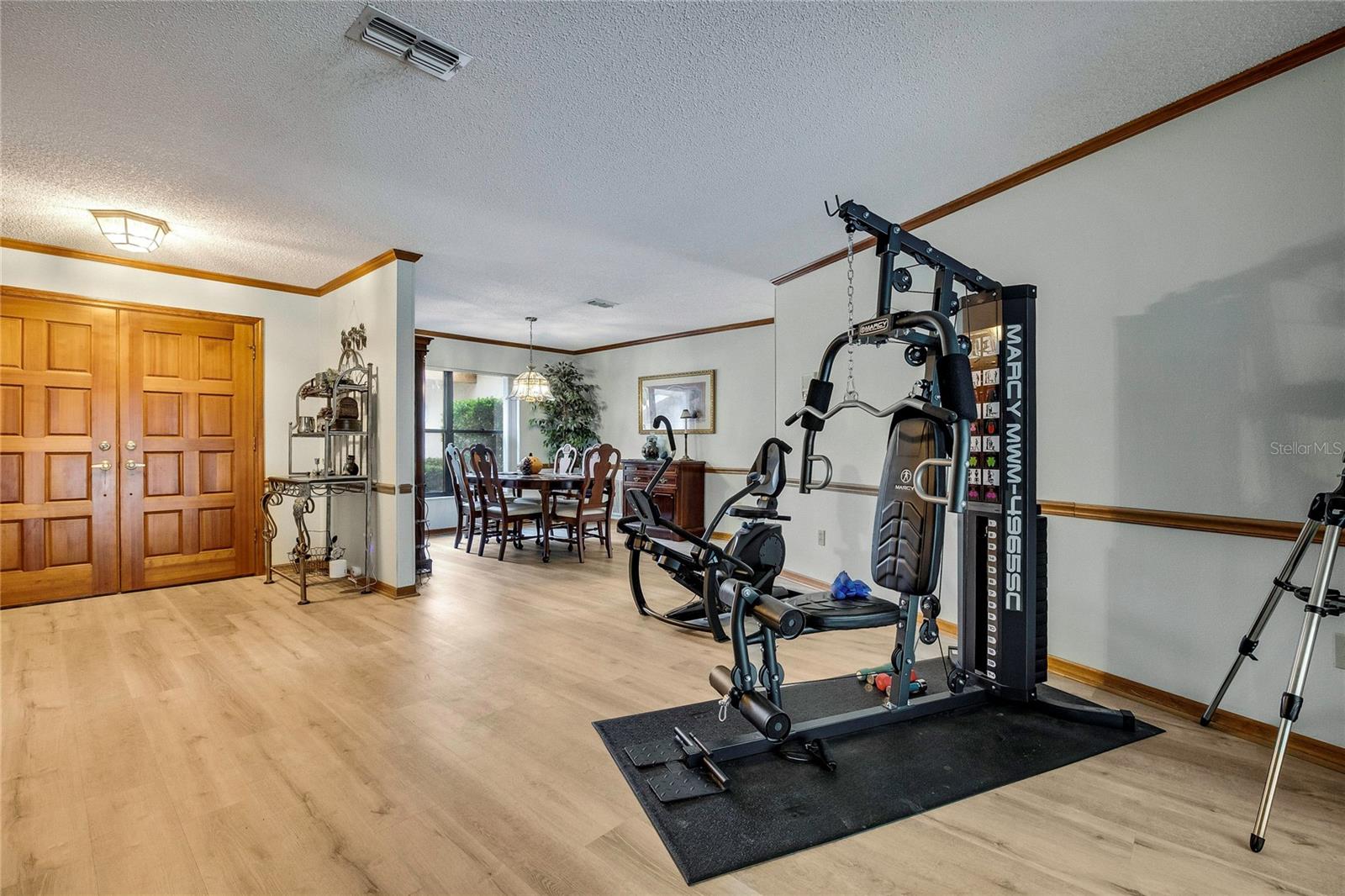 Living room/front doors/dining room