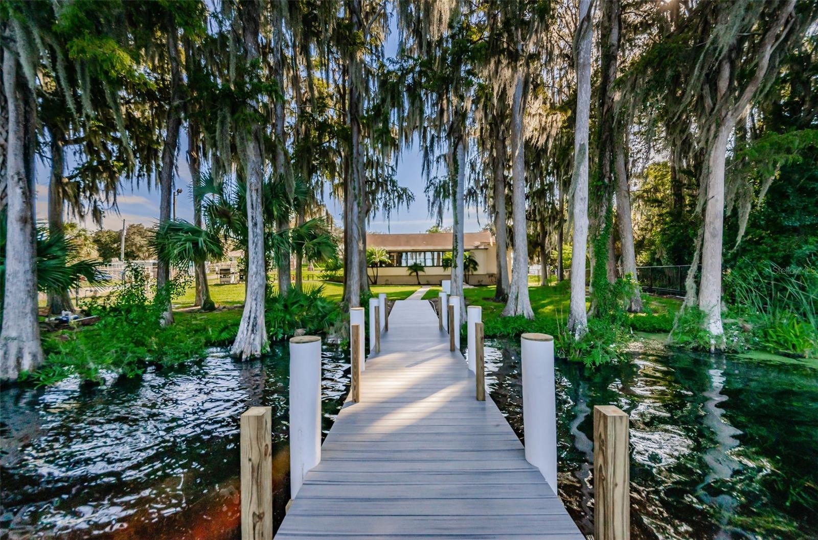 Lake Tarpon boat dock