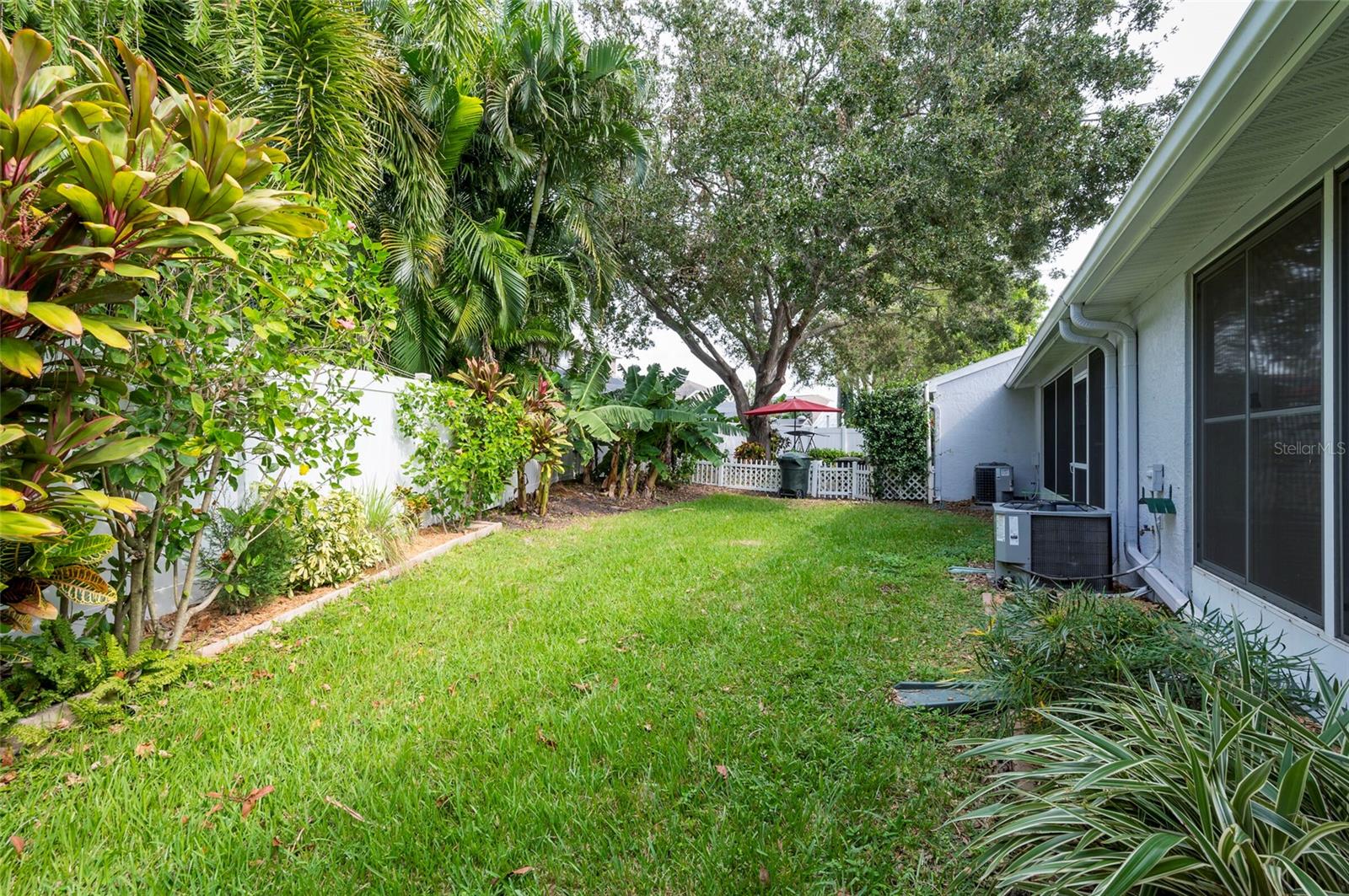 Full Green Back Yard