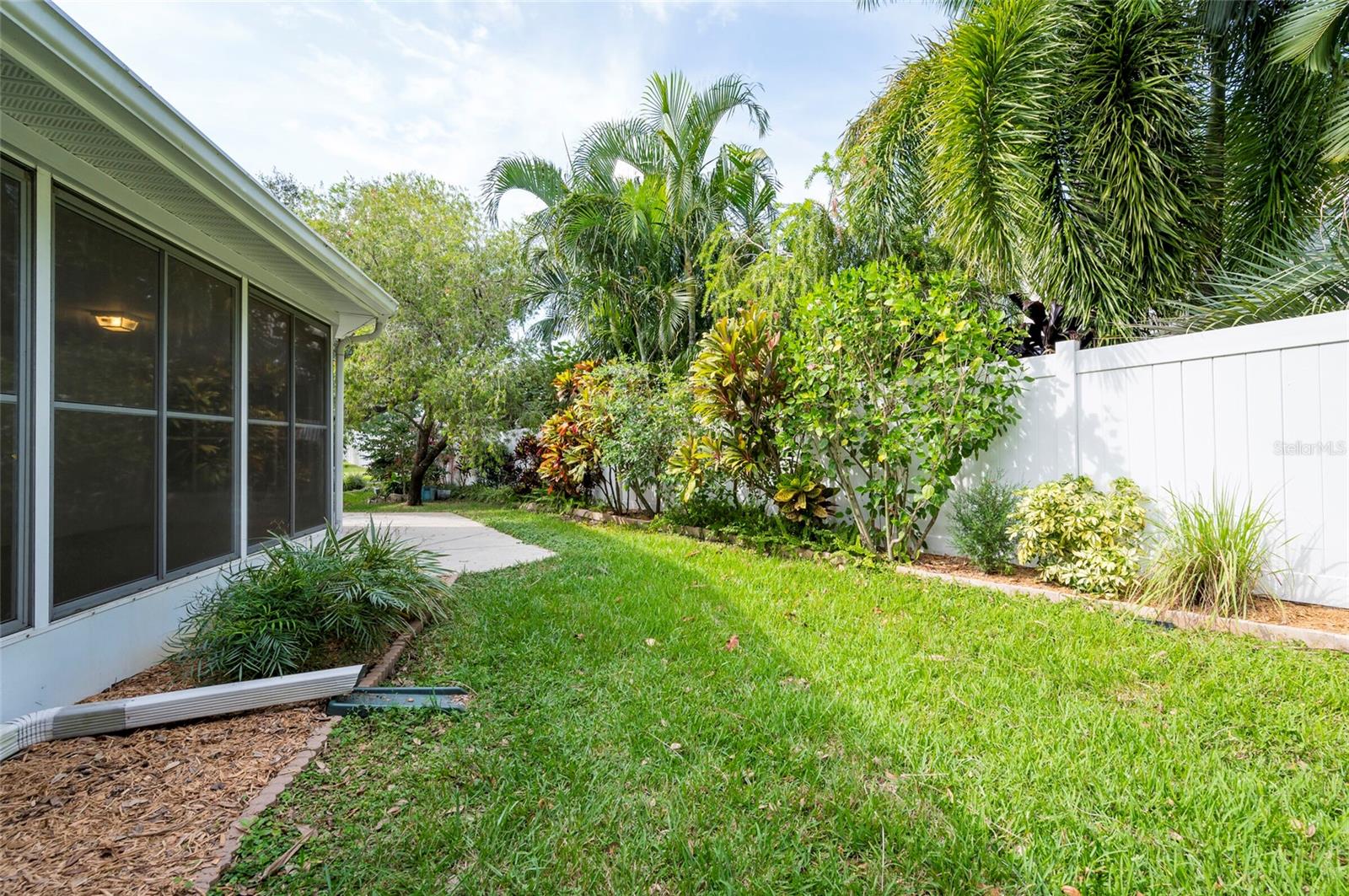 Full Green Back Yard