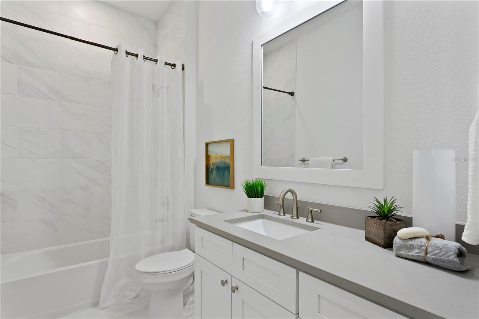 alternate decor guest bath (public and ensuite)