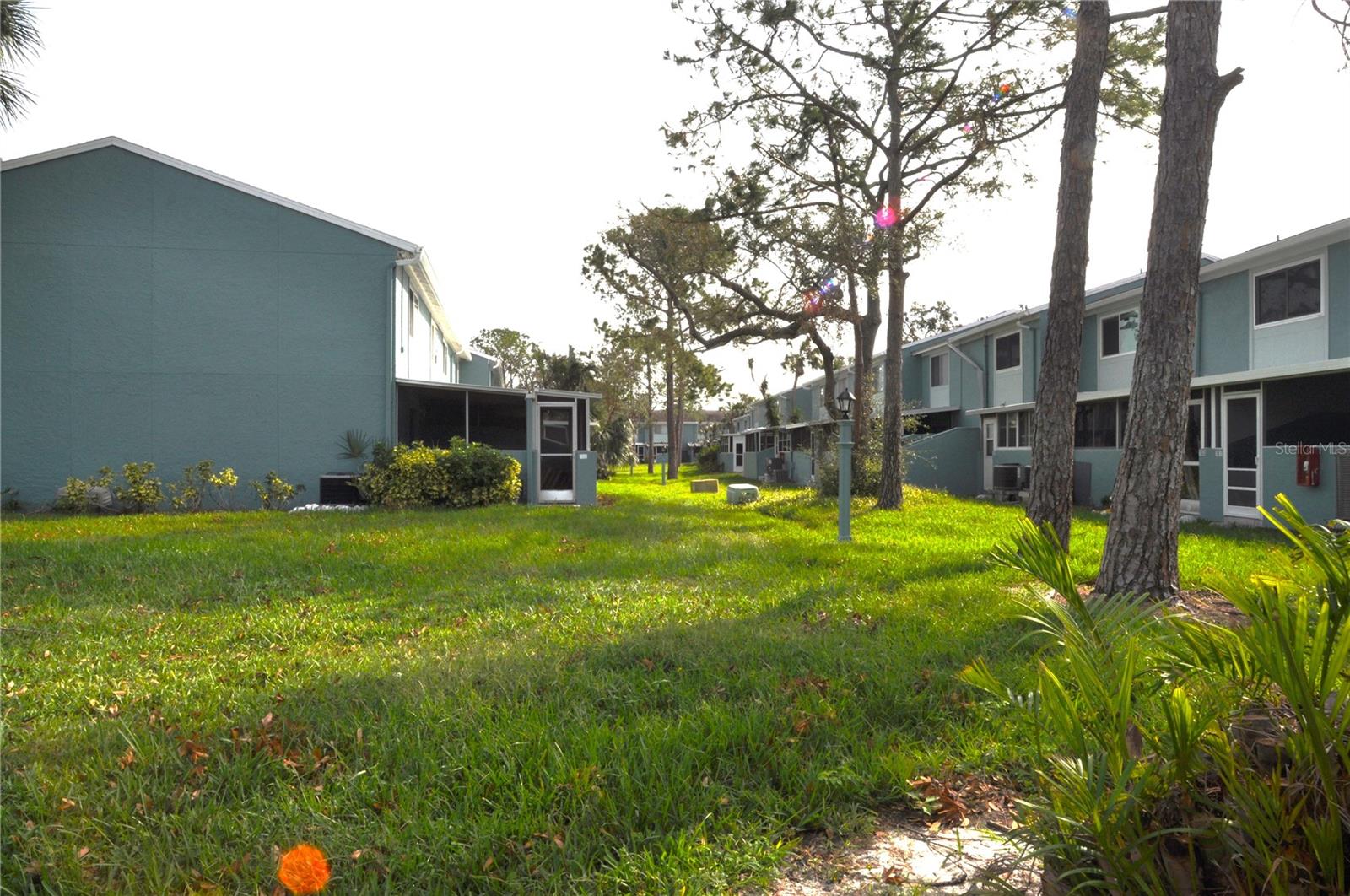 Garden view