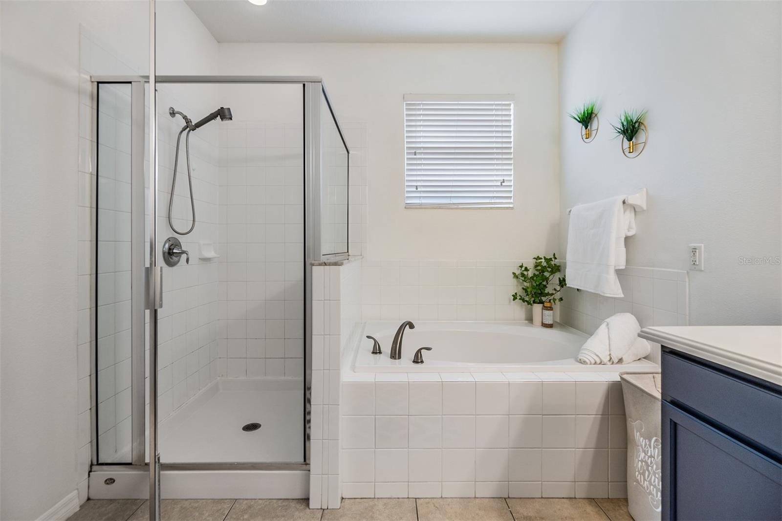 primary bath, soaking tub and shower