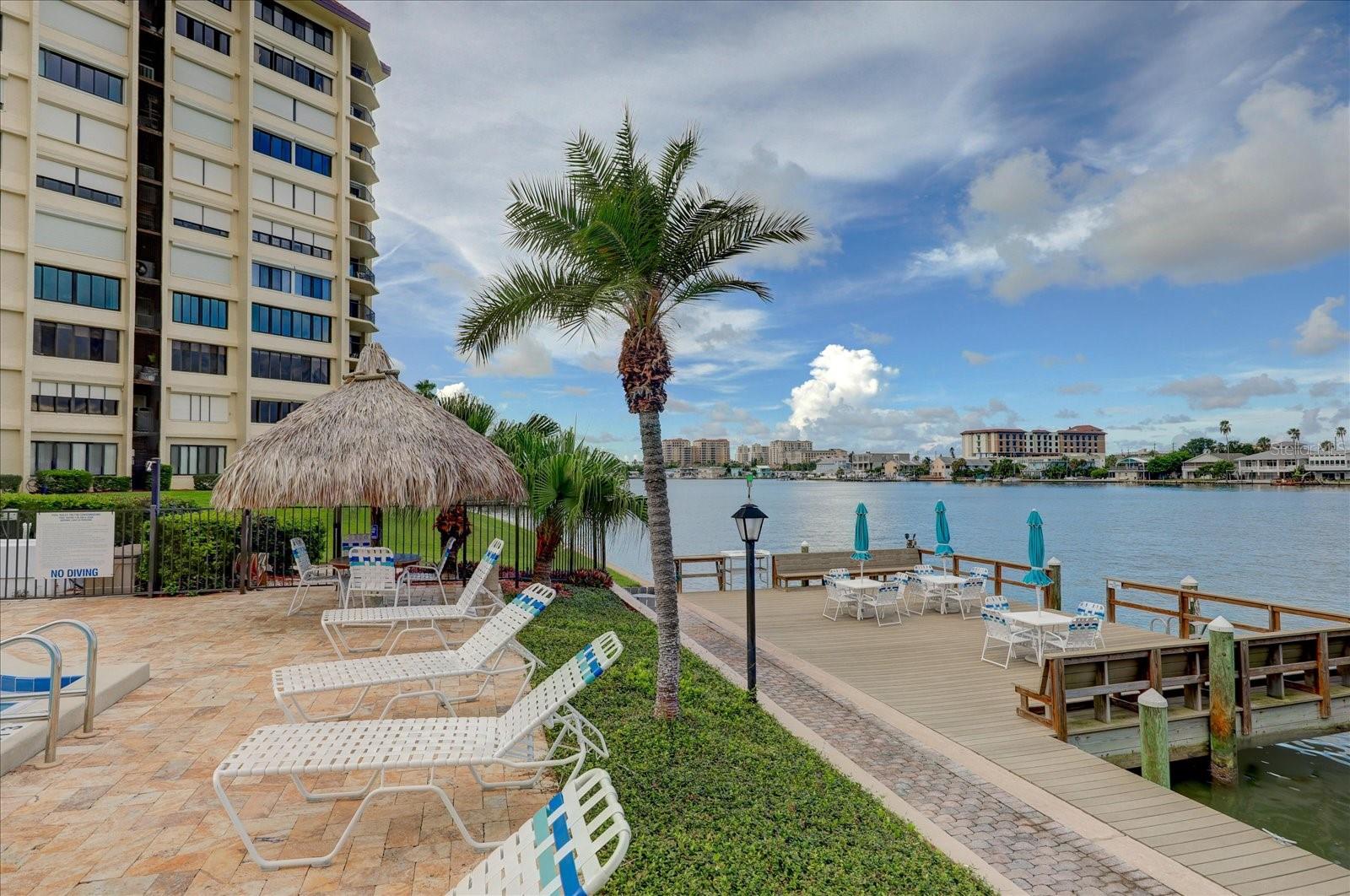 Pool deck & dock area with picnic space & a great spot for fishing.