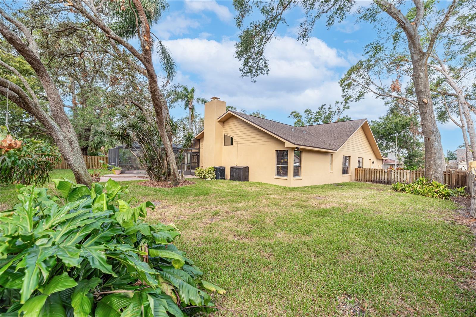 Spacious eastern side and back yard.