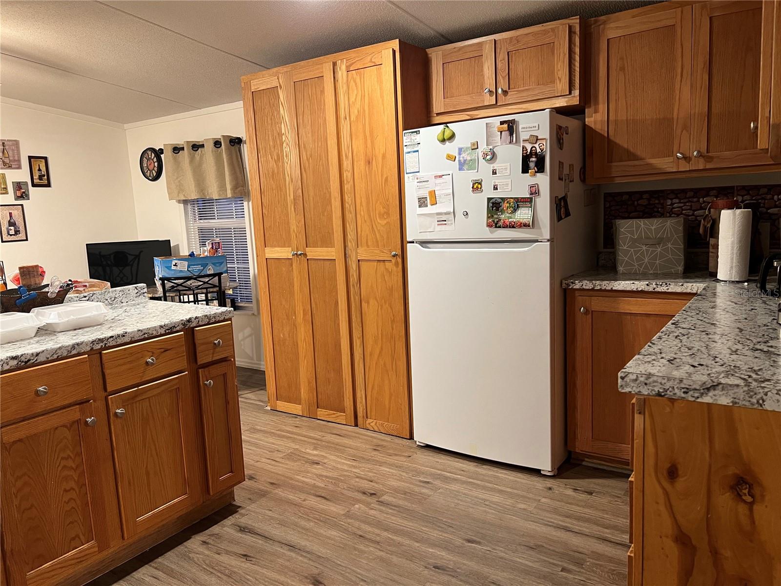 Built-In Pantry & Plenty of Cabinet Space.