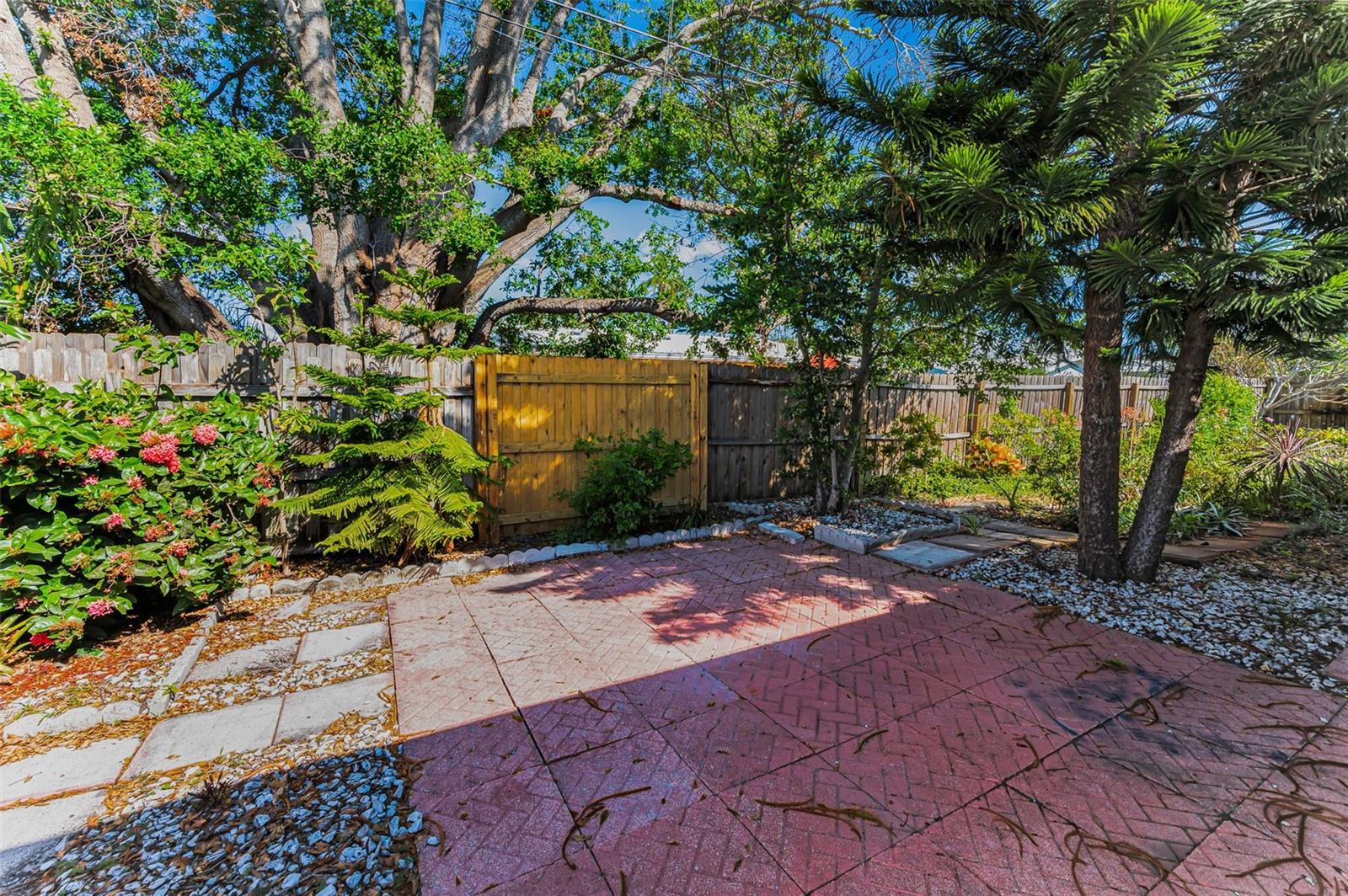 Backyard Patio