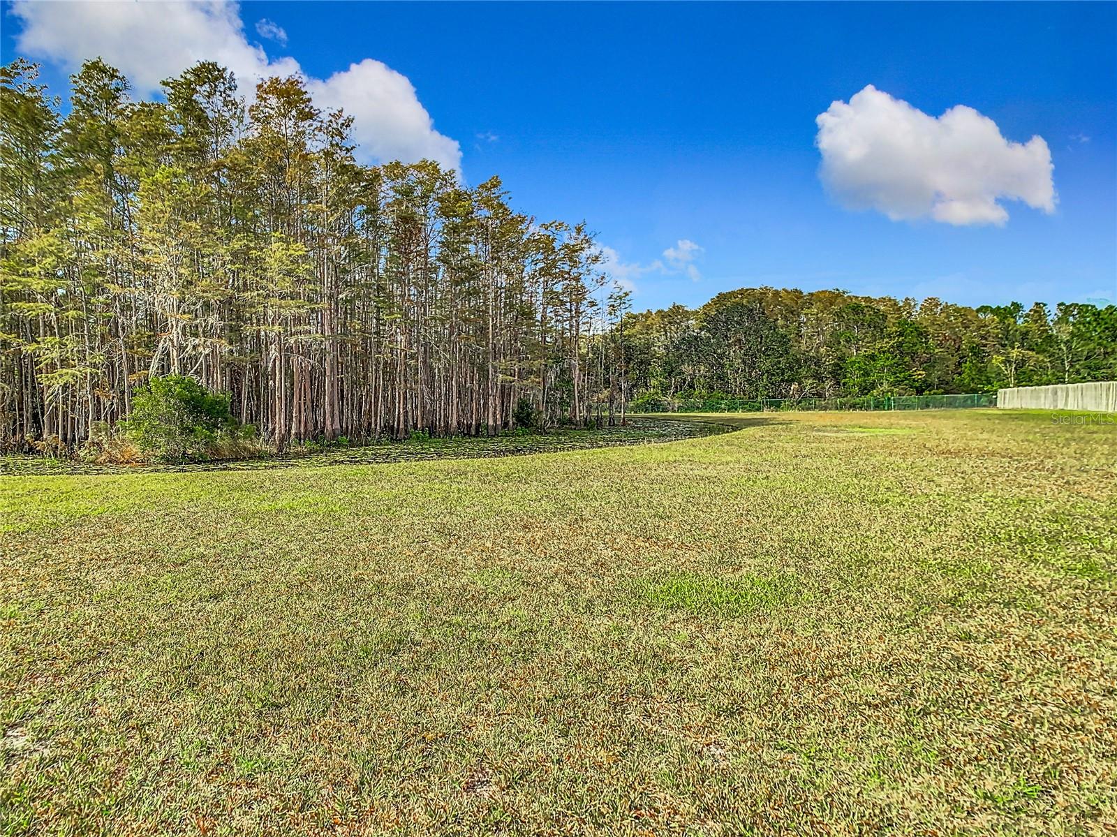 Beautiful retention pond in rear