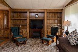 Built-In Cabinets and Shelving in Living Room