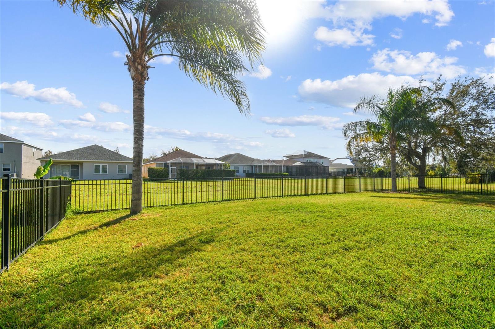 Fenced Backyard