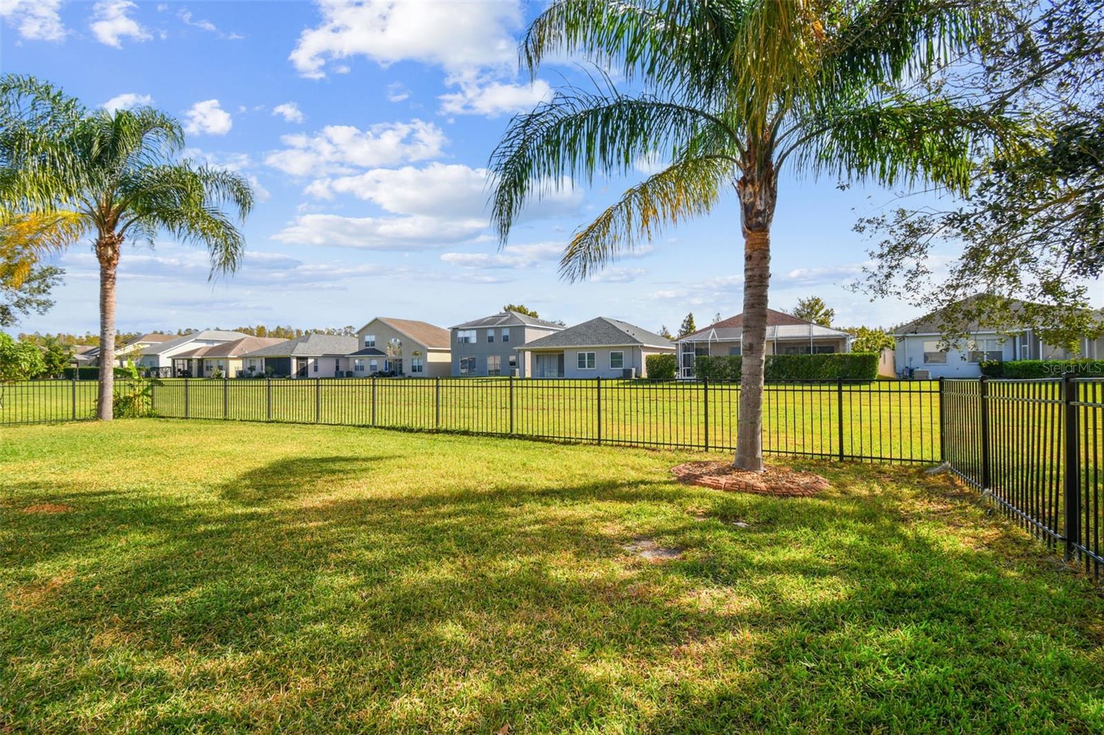 Fenced Backyard