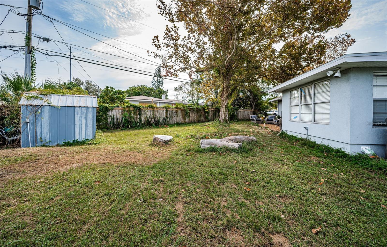 Large backyard with shed