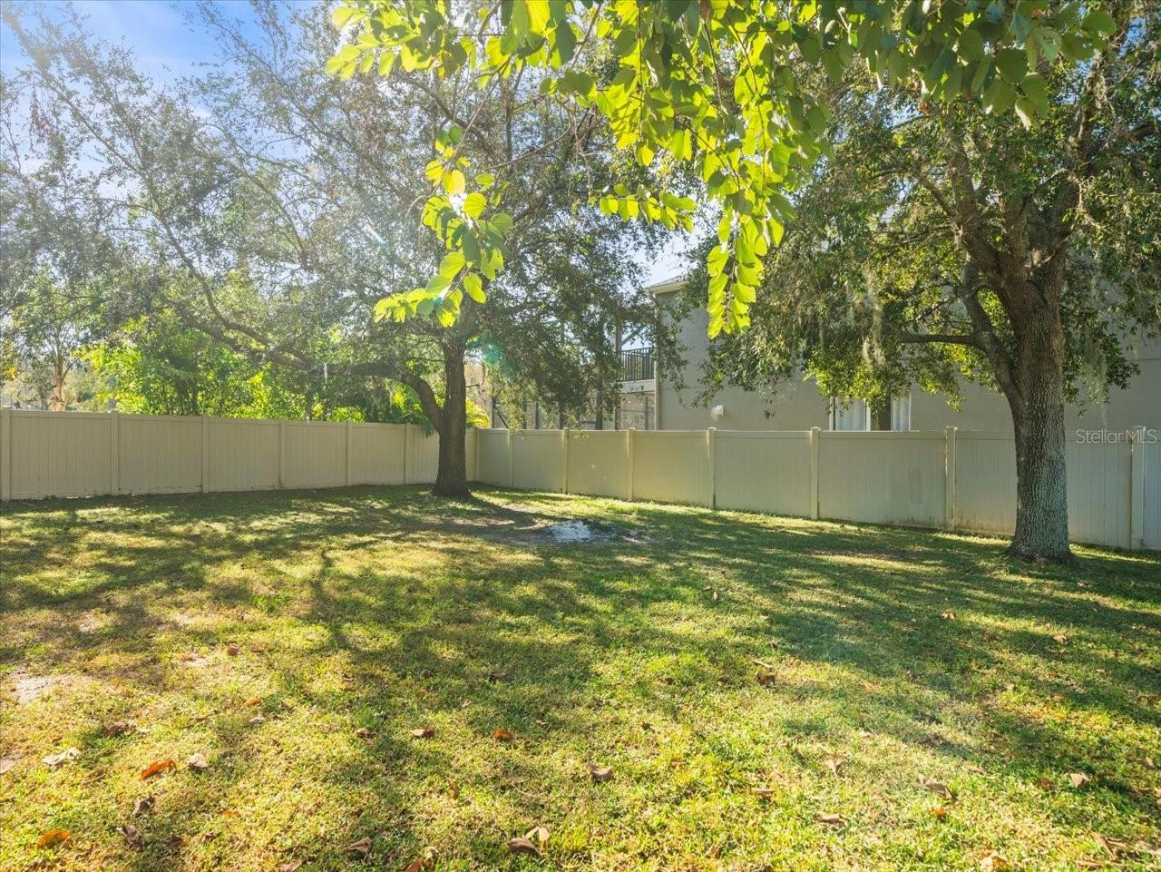 Fenced backyard