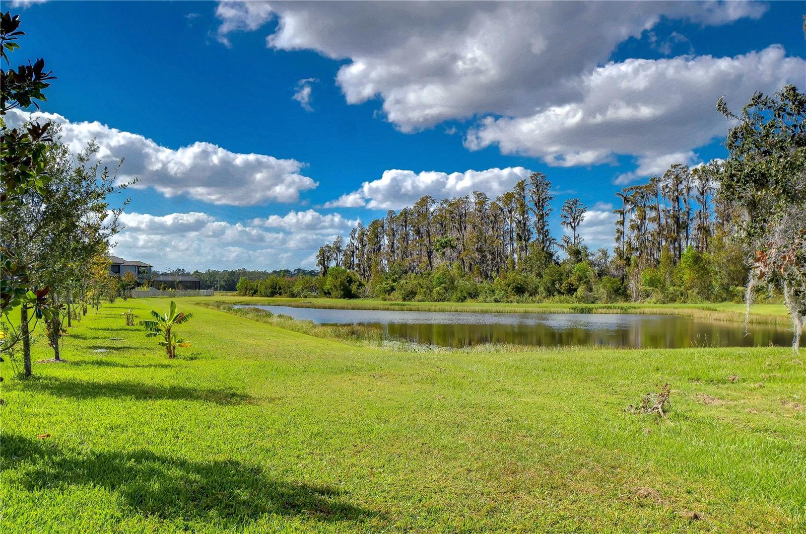 Pond in Back of Home