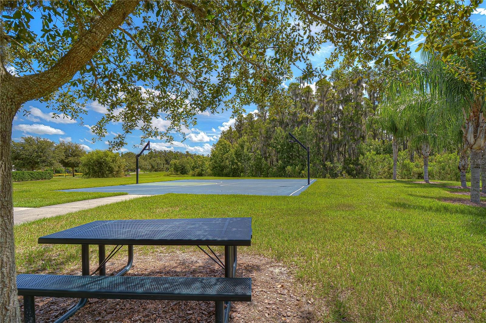 Basketball Courts