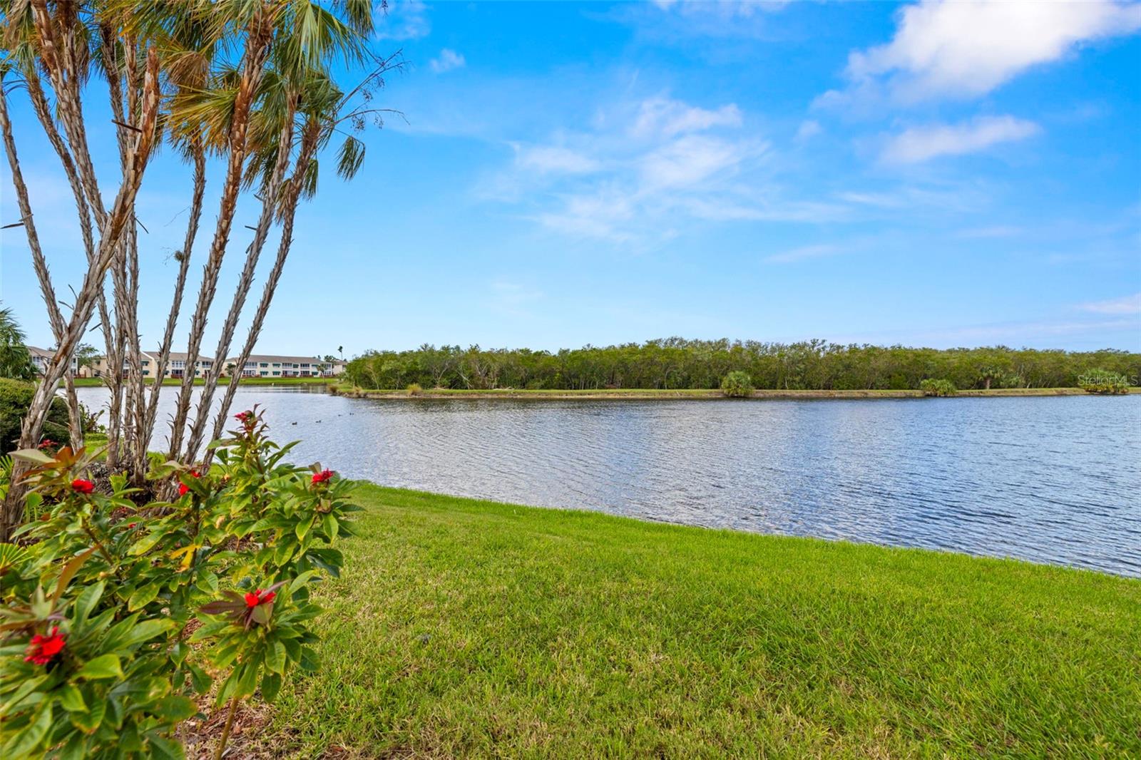 Pond by the Clubhouse