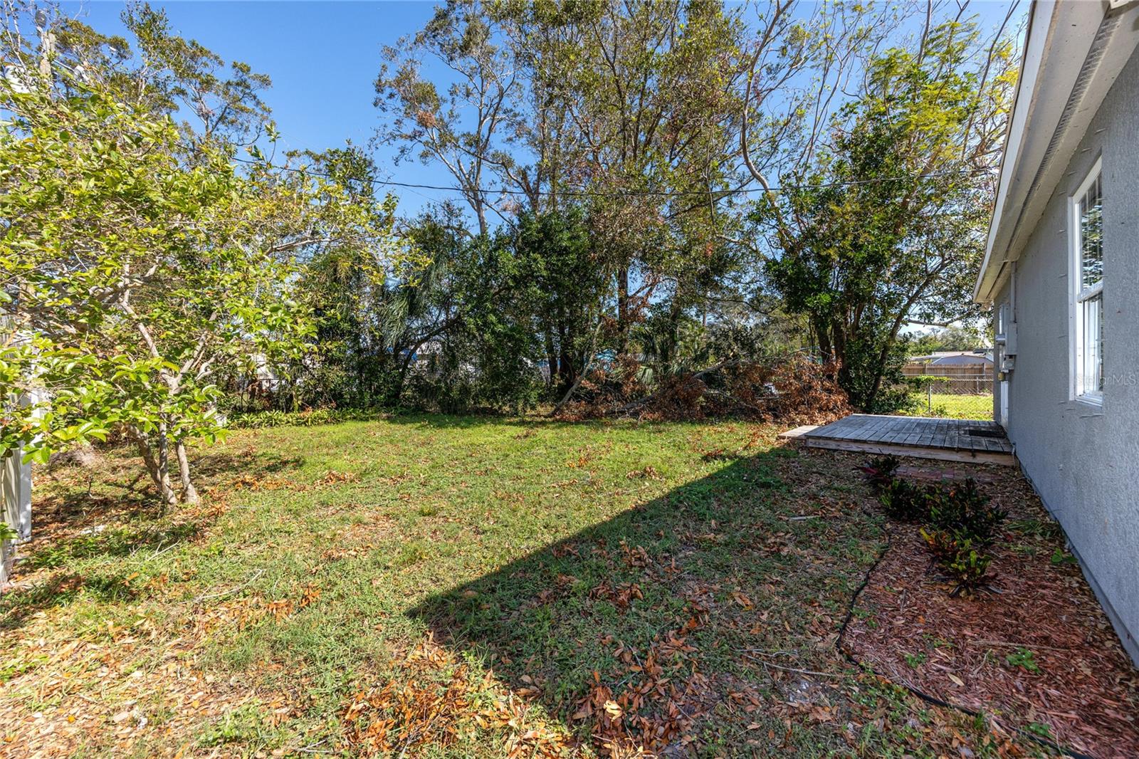 Trees Line Rear Of Home