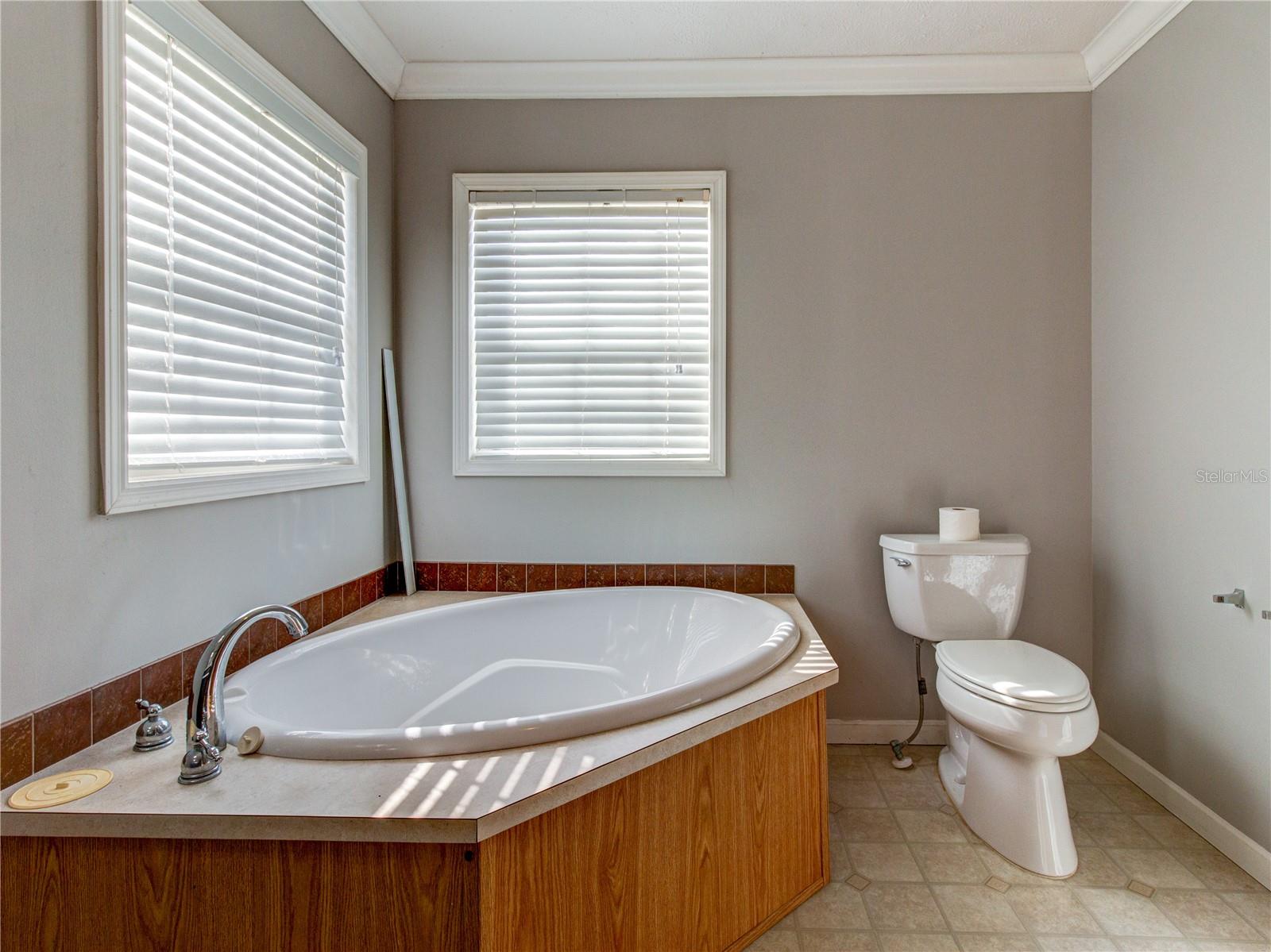 Garden Bath in Master Bathroom