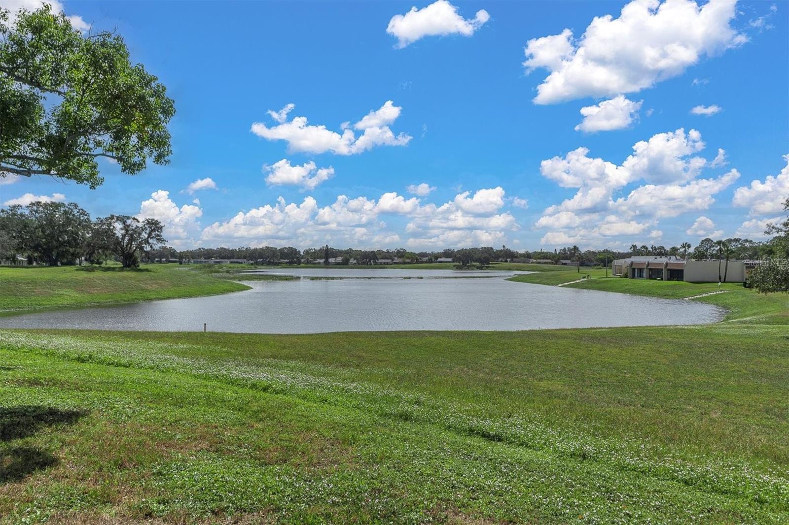 Pond nearby