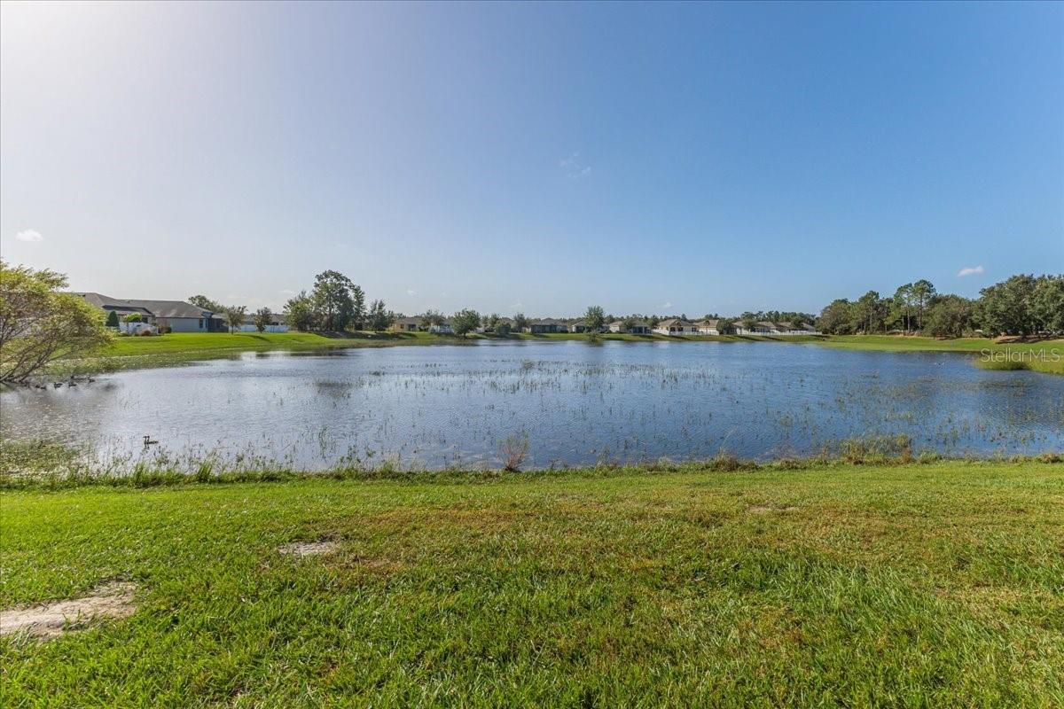 Seasonal Pond