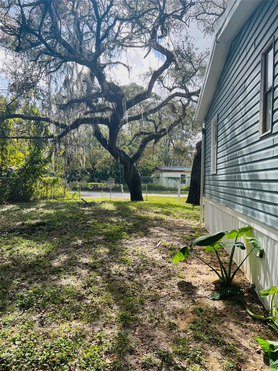 side yard exterior