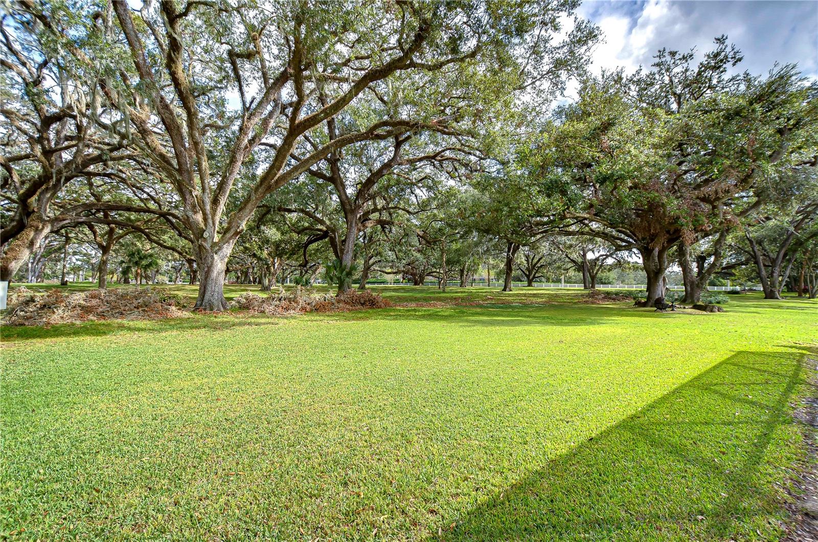 Expansive backyard!