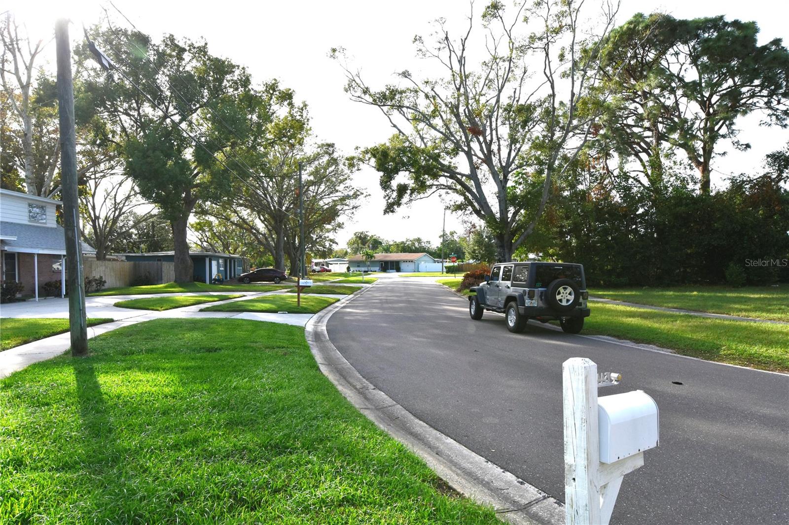 View Down Darien from Front yard