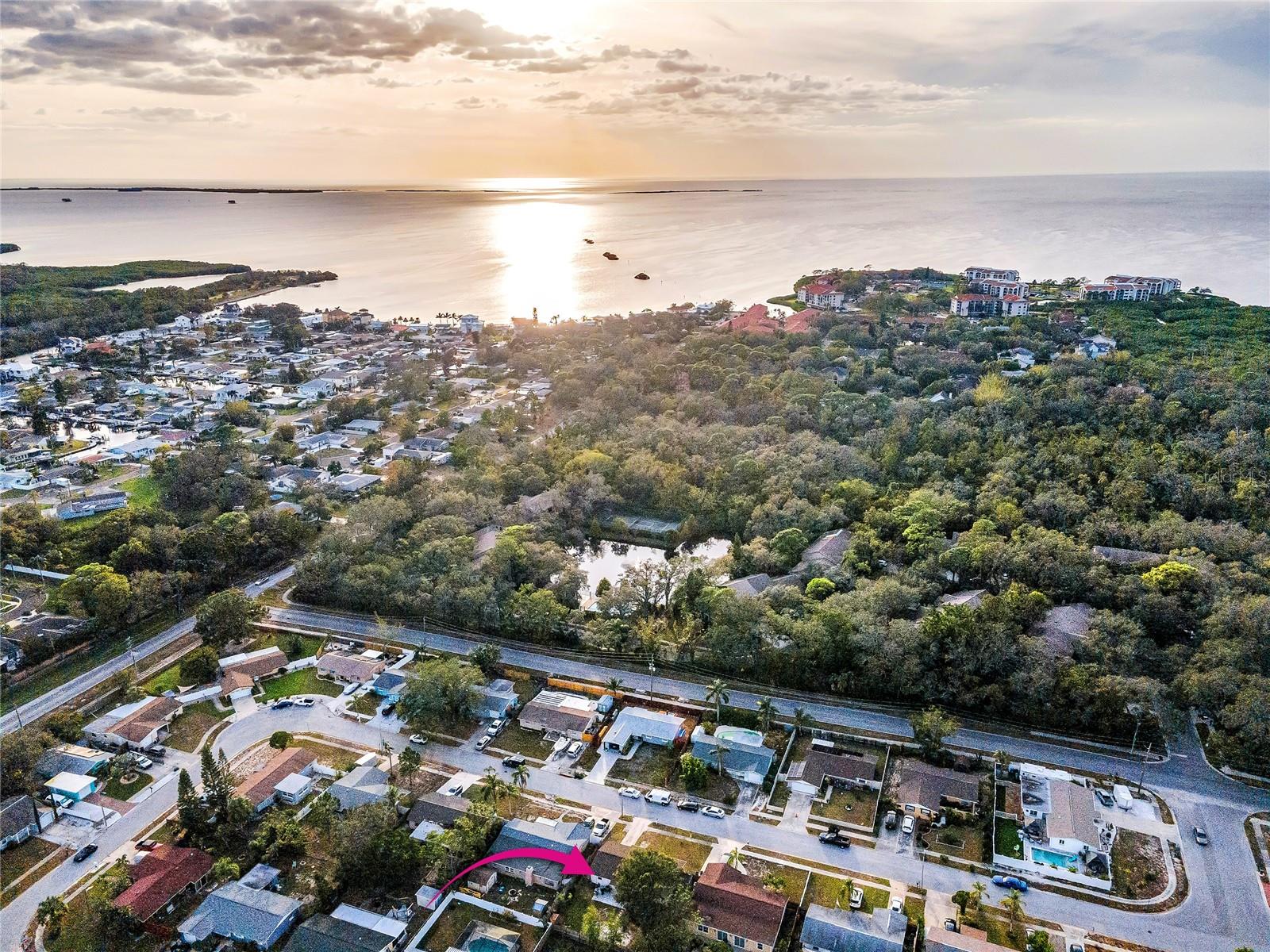 Tarpon Springs Gulf Coast - Aerial view