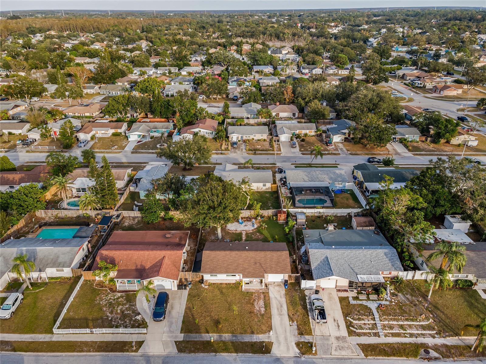 Tarpon Springs Community