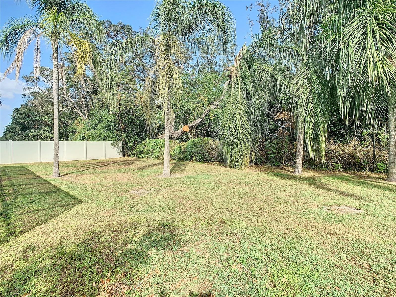 Large fenced yard with no rear neighbors