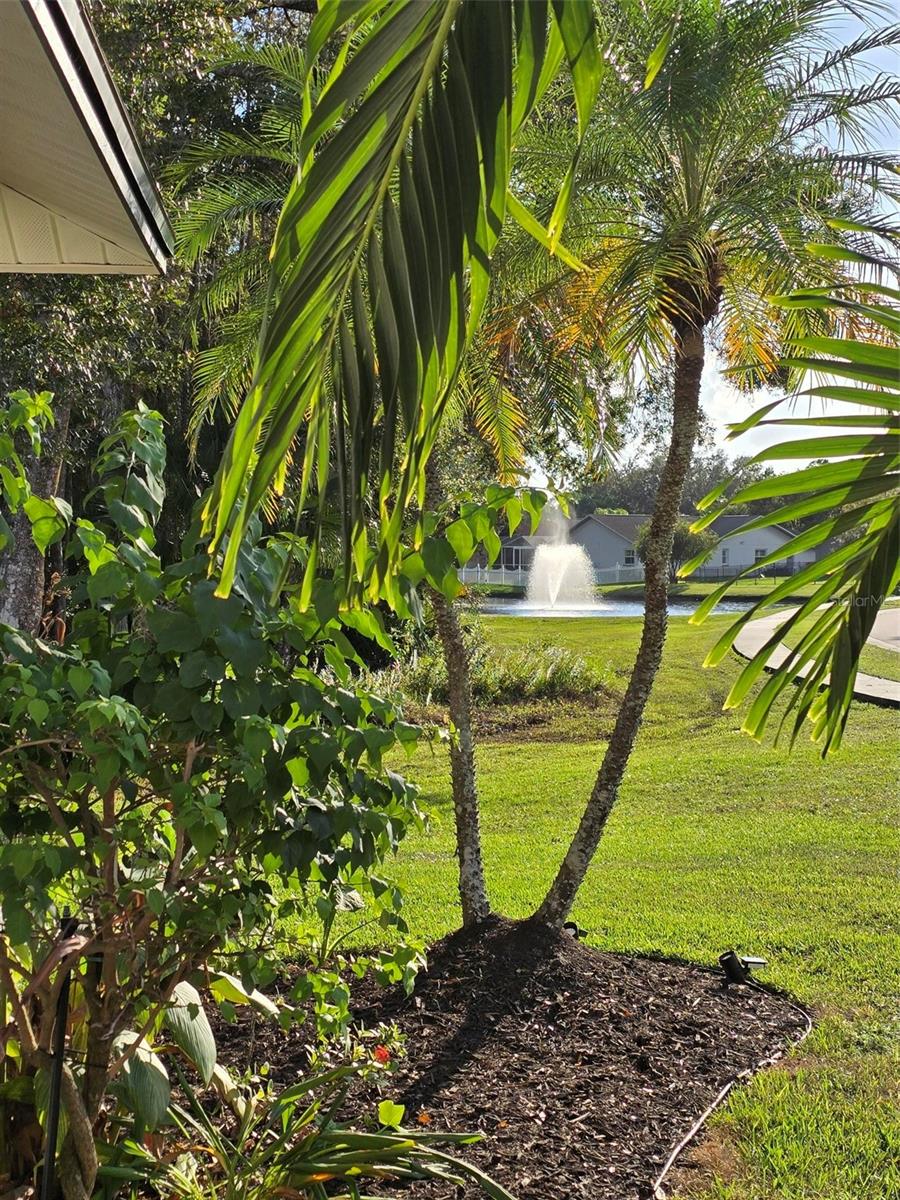 Property extends to the center of the pond