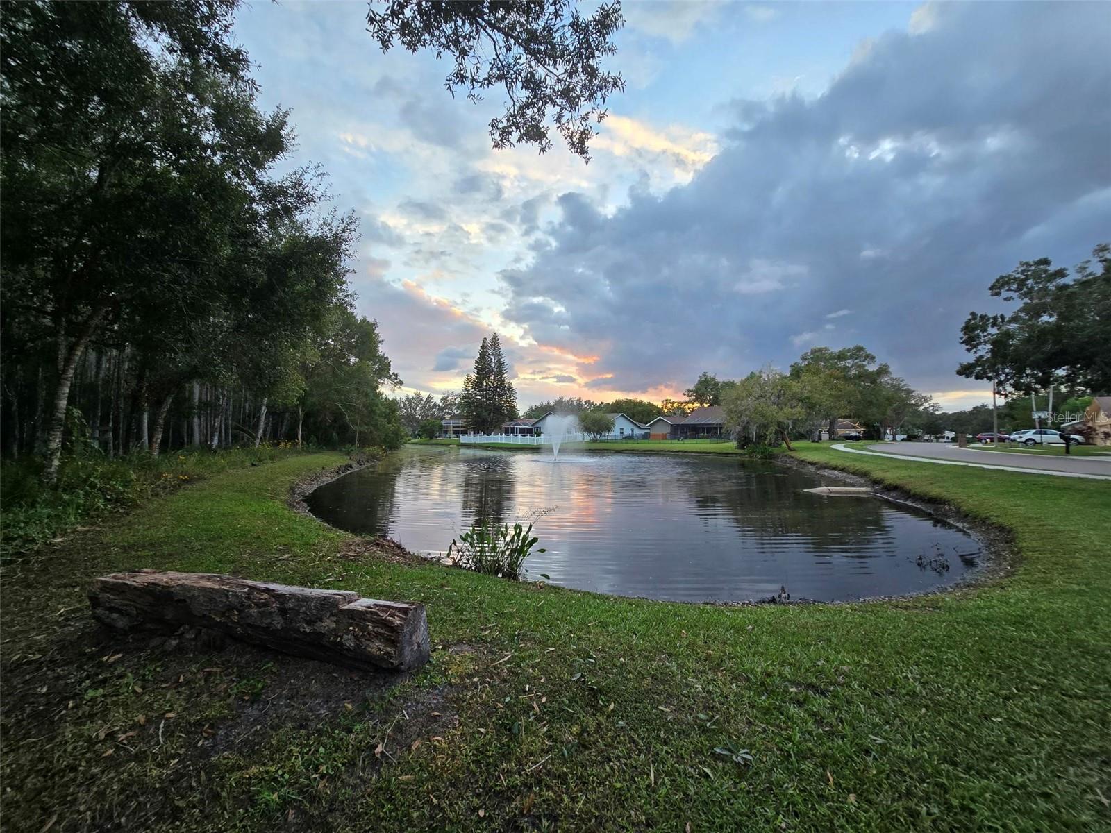 Serene park-like setting on your own property!