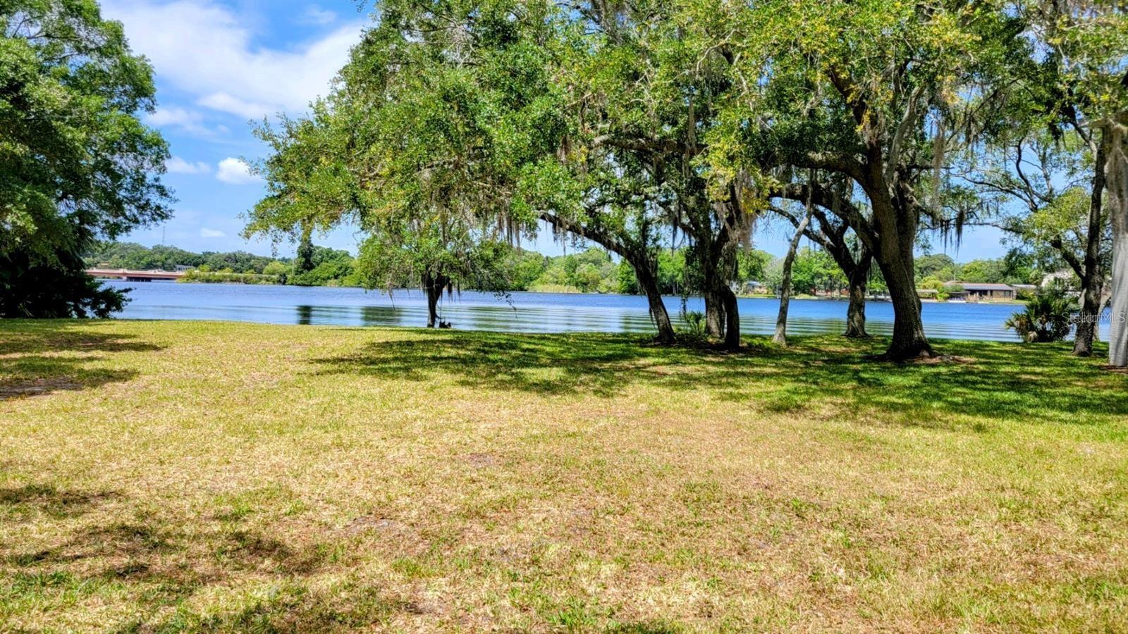 View of the Hillsborough River