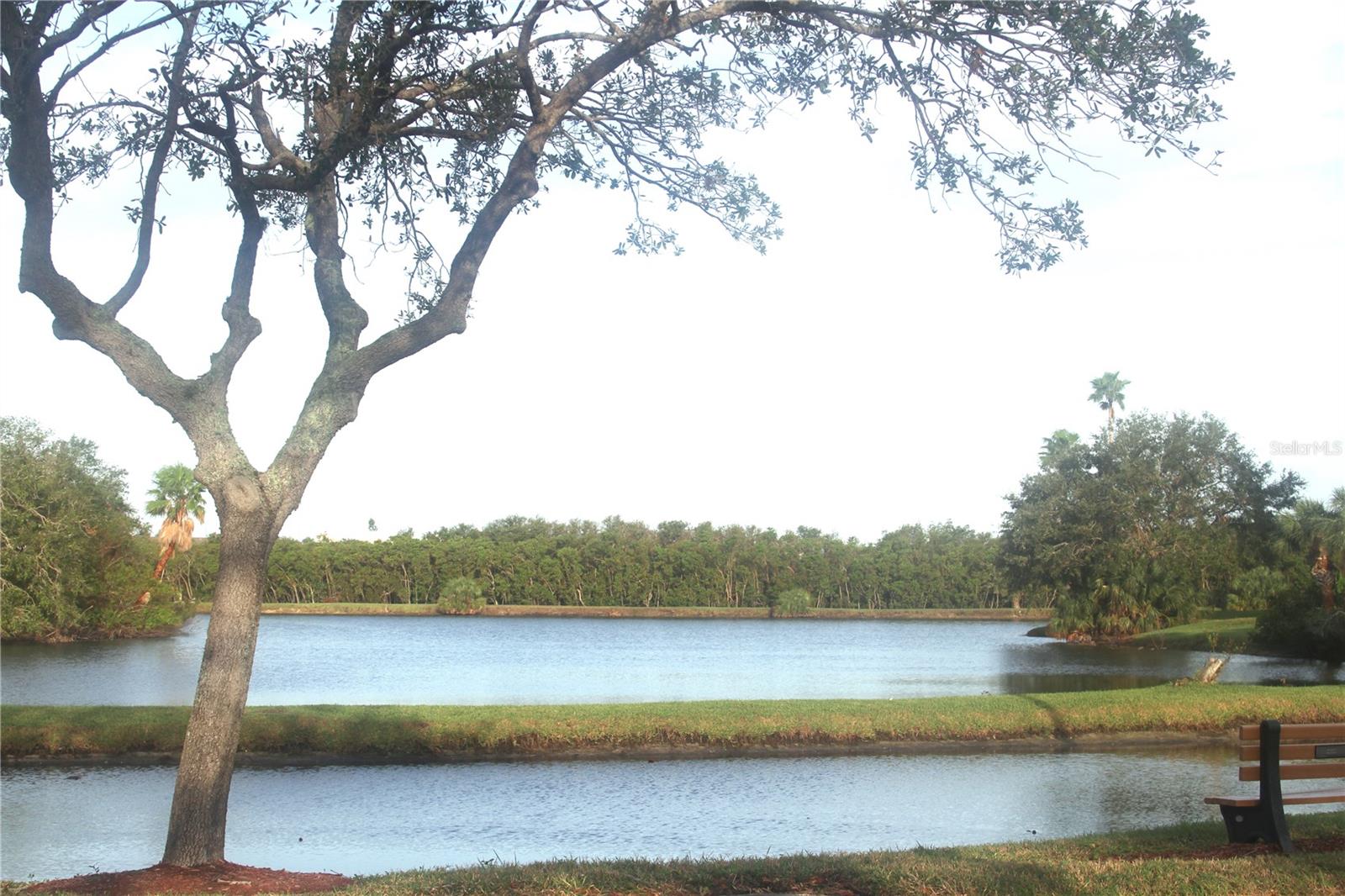 Nature Preserve and Walking Paths